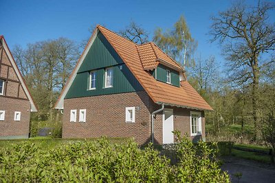 Renoviertes Haus mit Sauna, Nähe Bad Bentheim