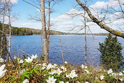 6 Personen Ferienhaus in STRÖMSTAD