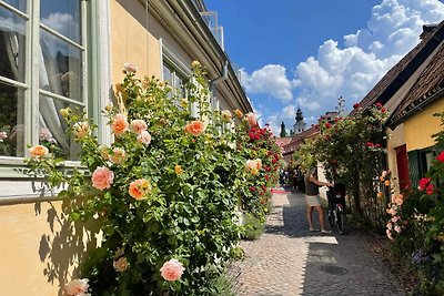 4 persoons vakantie huis in VISBY