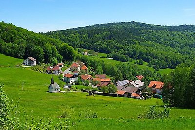 Freundliche Ferienwohnung in Zenting