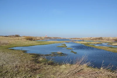 Boerderij in De Cocksdorp