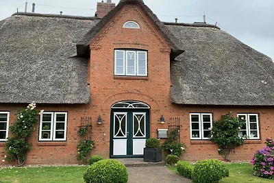 Objekt 29 || Nieblum