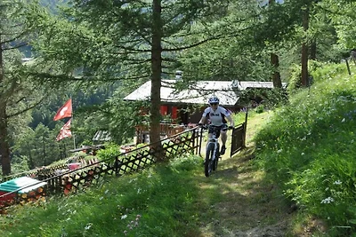 Vakantiehuis Ontspannende vakantie Törbel