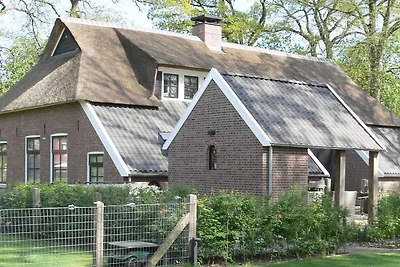Ferienhaus in Nijverdal mit Whirlpool