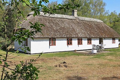 4 Personen Ferienhaus in Læsø-By Traum