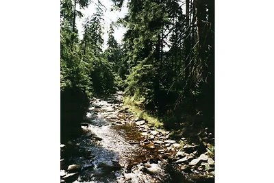 Pensión Bergblick