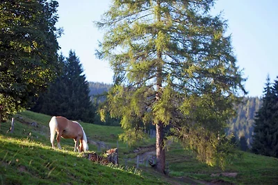 Ferienwohnung im Salzburger Land mit Balkon