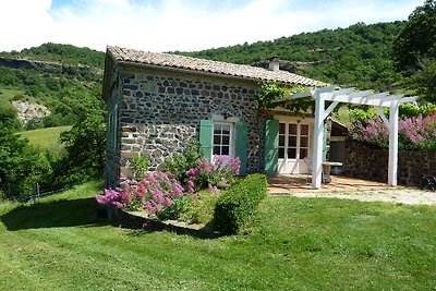 Beautiful Holiday Home in Saint-Pons near...