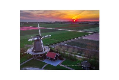 Ferienhaus in 't Zand mit Schwimmbecken