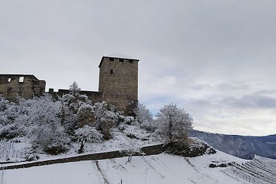 Schlosshof-Bergblick