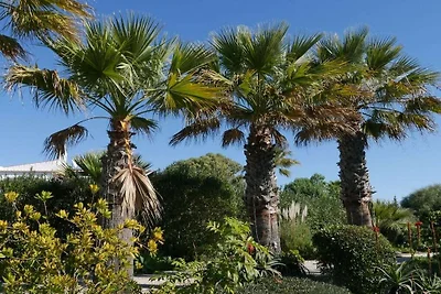 Ferienhaus mit 3 Schlafzimmer