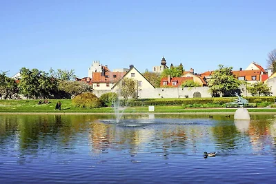 4 sterren vakantie huis in VISBY