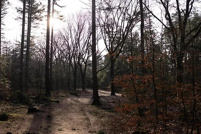 Op de natuur geïnspireerde schuilplaats in...
