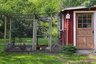 6 Personen Ferienhaus in ÖRKELJUNGA