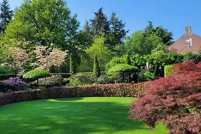 Villa B&B a Overloon con sauna a infrarossi