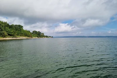 4 Sterne Ferienhaus in Børkop