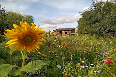 Uniek landschapszicht