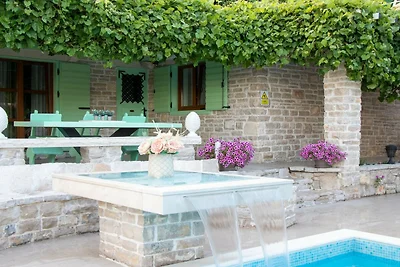 Authentic Dalmatian Treasure Homes - House...