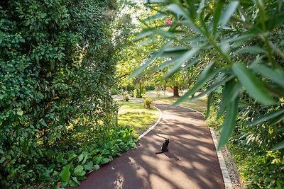 Giardino (estate) Giardino (estate)