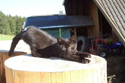 Ferme Kleinklausenhof 2