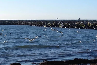 5 persone case ad Dannemare-By Traum