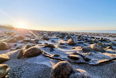 6 persoons vakantie huis in Tisvildeleje