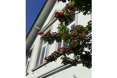 Appartement de vacances avec 3 chambres