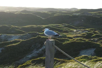 4 im Haus Meerloft Komfortable Ferienresidenz