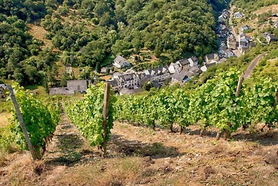 Loreley im Weingut Lithos