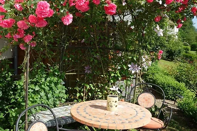 Rose am Mühlenbach