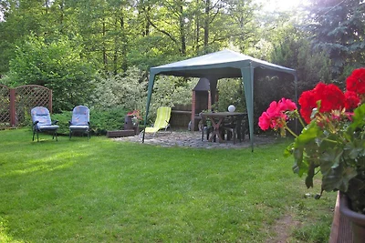 Vakantiehuis met jacuzzi en eigen tuin