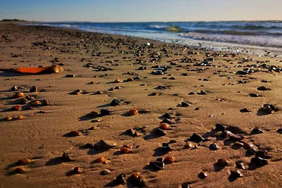 Luxurioses Refugium in Gronhoj-By Traum