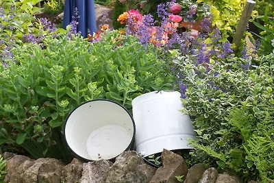 Ferienwohnung mit 1 Schlafzimmer