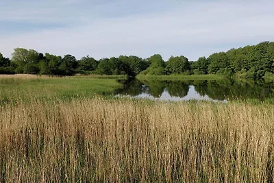 8 persoons vakantie huis in Ebeltoft