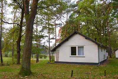 Casa vacanze isolata nel Limburgo in mezzo al...