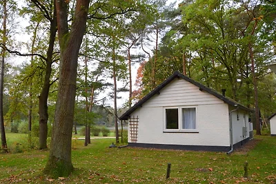 Abgeschiedene Ferienwohnung in dichtem Wald