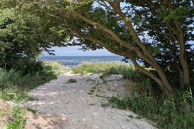 Ruhiger Strandurlaub - Von Traum