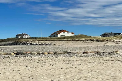 4 stelle case ad Løkken