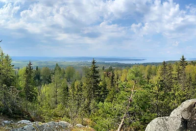 4 Sterne Ferienhaus in TÄLLBERG