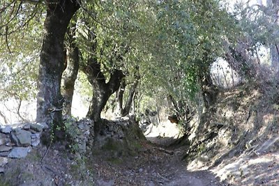 Incantevole casa vacanze a Mazzola con sauna