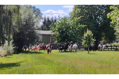 Tiny House in der Nähe von Dresden