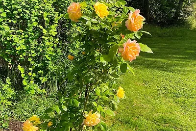 6 persoons vakantie huis in LIDKÖPING-By...
