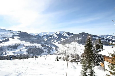 Wohnung Maria Alm bei Hochkönig Skipisten