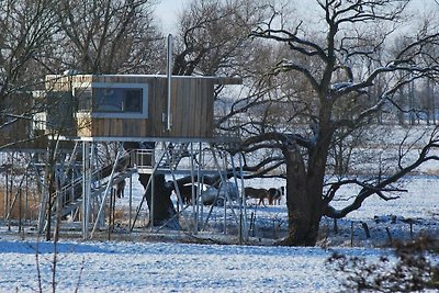 Ferienhaus mit 1 Schlafzimmer