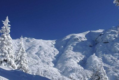 Incantevole appartamento a Seefeld in Tirol c...