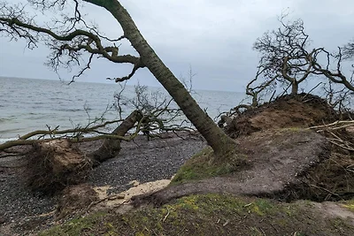 8 Personen Ferienhaus in Bagenkop