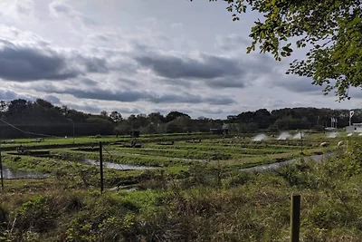 Charmantes Refugium in Sydjylland -- By Traum...