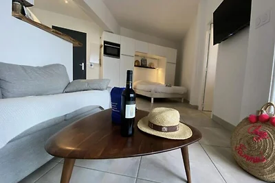 Ferienhaus in Grau-du-Roi mit Zugang zum...