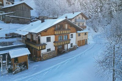 Appartement op de berghelling in Silbertal