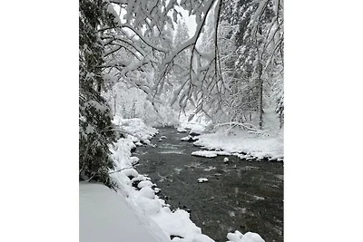 Ferienwohnung mit 0 Schlafzimmer